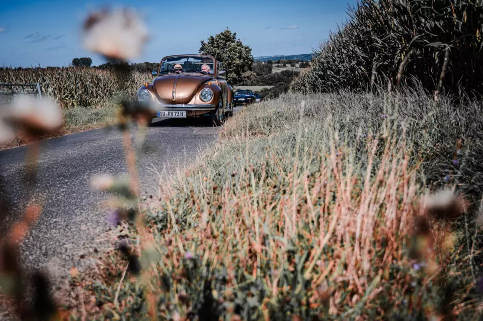 photo gallery image 01