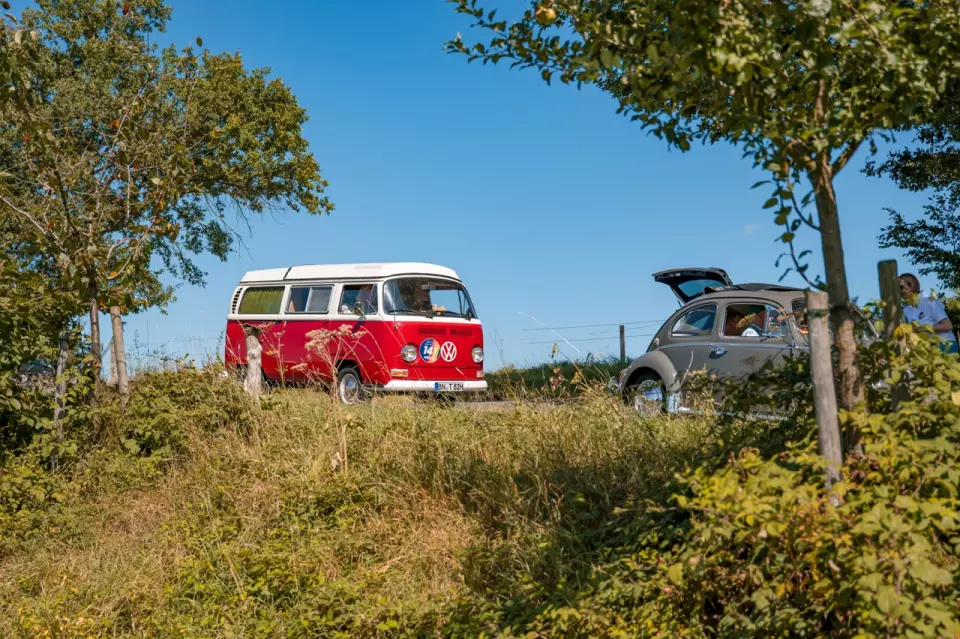 photo gallery image 01