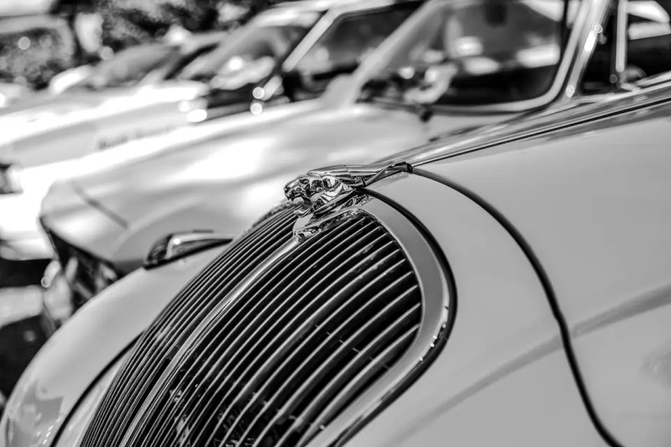 photo gallery image 01