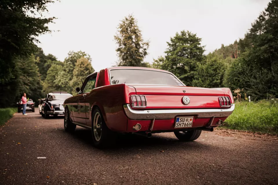 photo gallery image 01