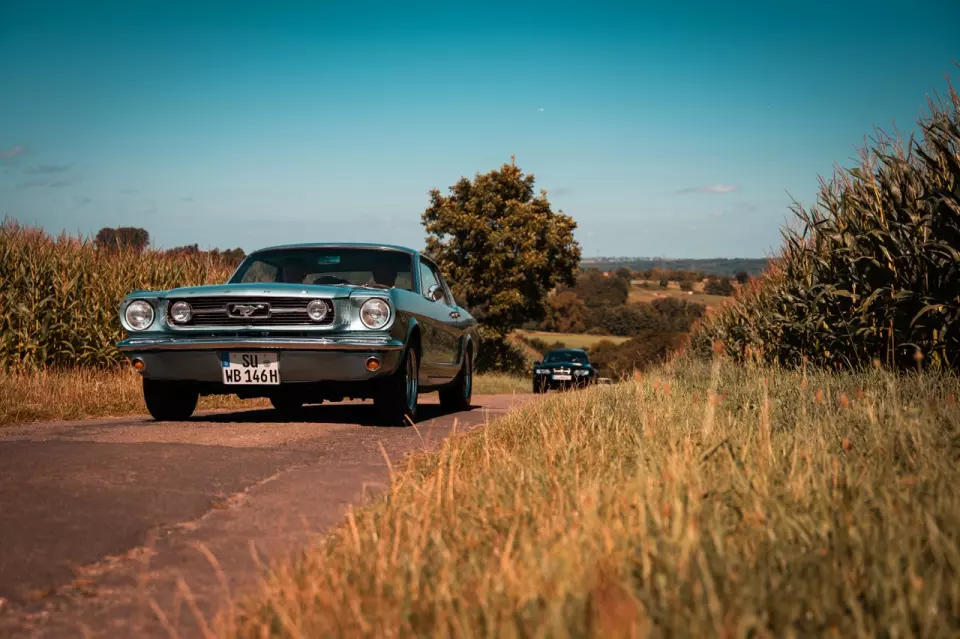 photo gallery image 01