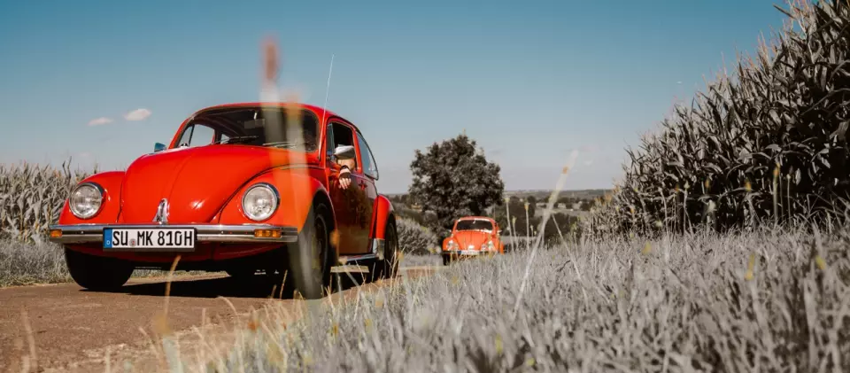 photo gallery image 01