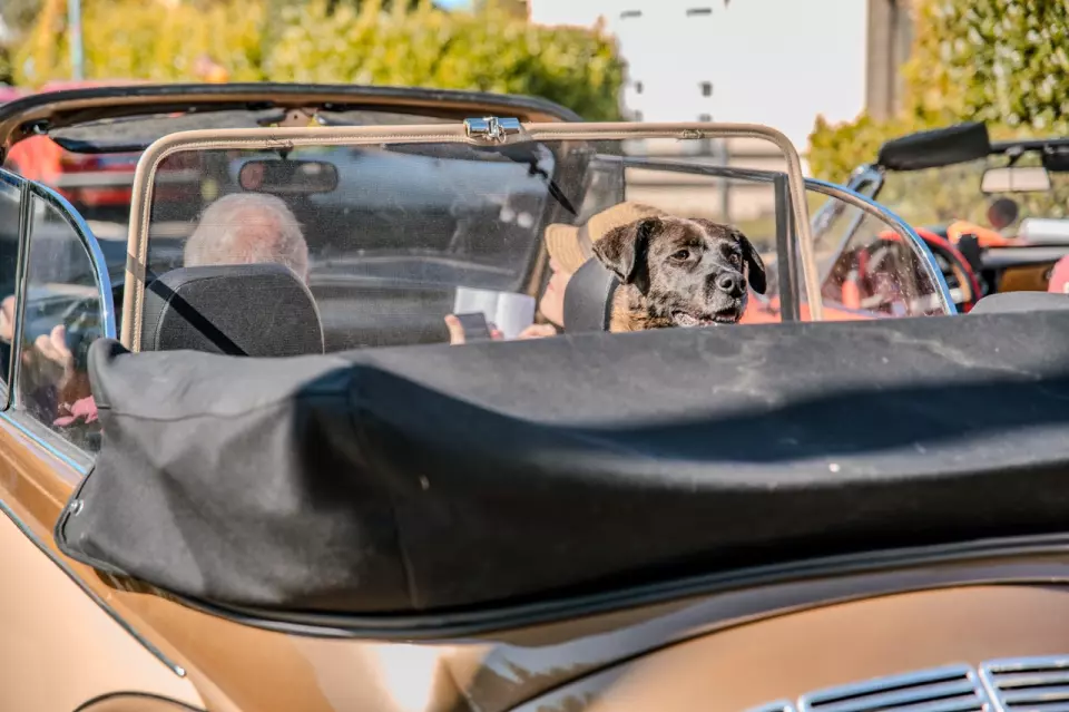 photo gallery image 01