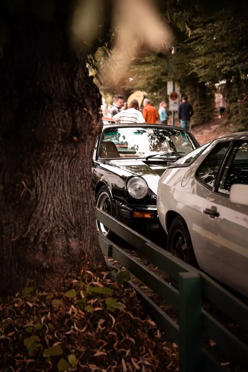 photo gallery image 01