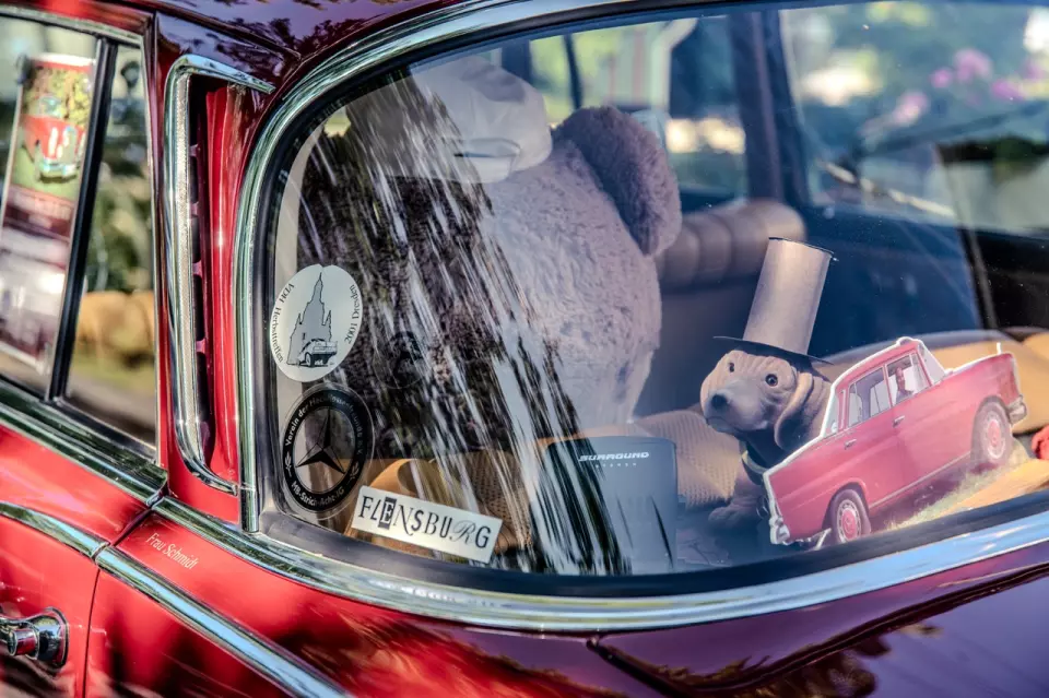 photo gallery image 01