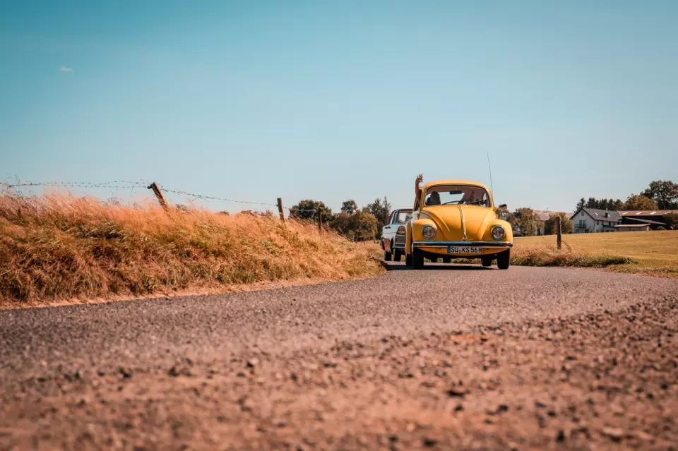 photo gallery image 01