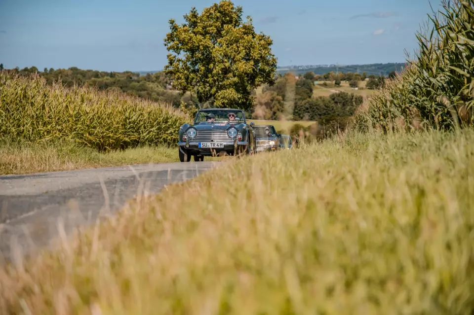 photo gallery image 01