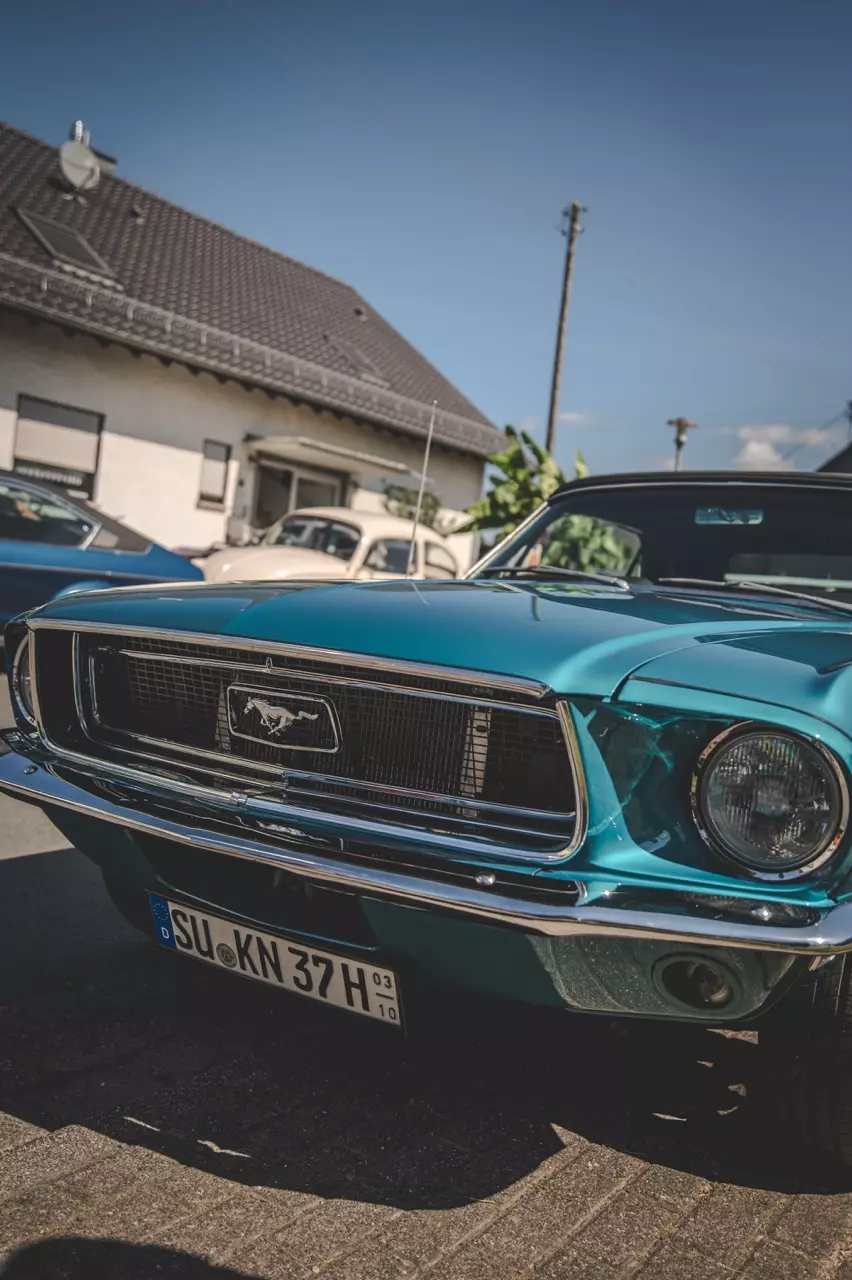 photo gallery image 01