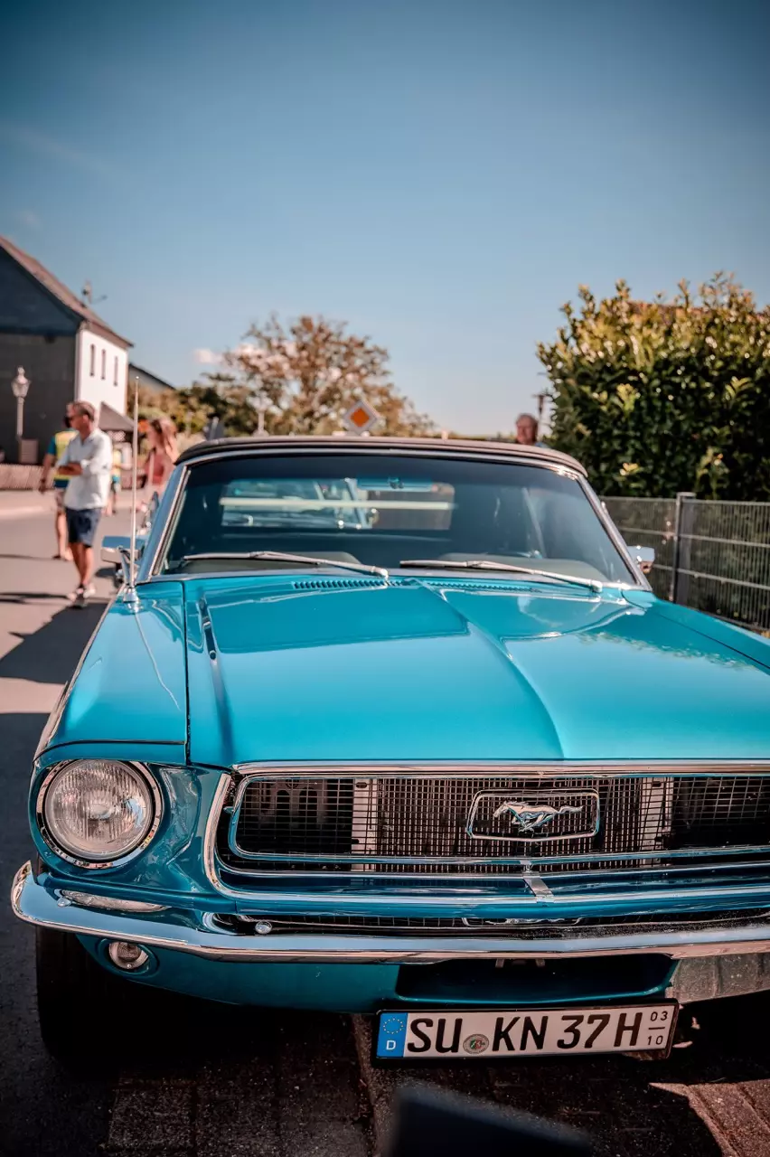 photo gallery image 01