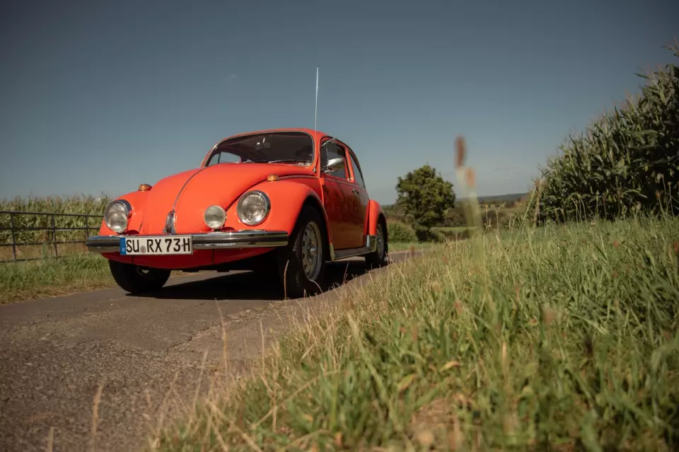 photo gallery image 01